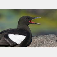 3146 x 2098_Px _RM_070701_MG_2155.jpg