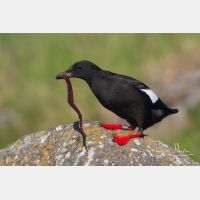 3154 x 2103_Px _RM_070702_MG_3492.jpg