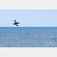 3183 x 2122_Px _RM_070701_MG_1622.jpg