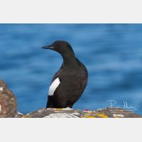 3242 x 2161_Px _RM_070701_MG_2725.jpg