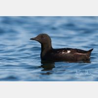 3247 x 2165_Px _RM_070701_MG_2740.jpg