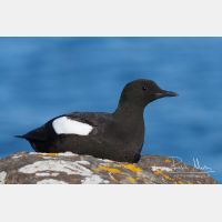 3307 x 2205_Px _RM_070701_MG_2732.jpg