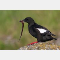 3340 x 2227_Px _RM_070702_MG_3502.jpg