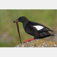 3374 x 2249_Px _RM_070702_MG_3511.jpg