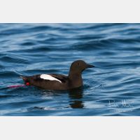 3395 x 2263_Px _RM_070701_MG_2745.jpg