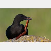 3398 x 2265_Px _RM_070702_MG_3479.jpg