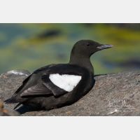 3504 x 2336_Px _RM_070701_MG_2150.jpg