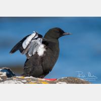 3504 x 2336_Px _RM_070701_MG_2410.jpg