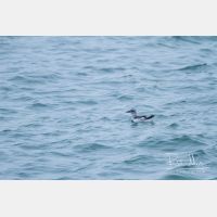 4603 x 3068_Px _RM_121023_MG_0081.jpg