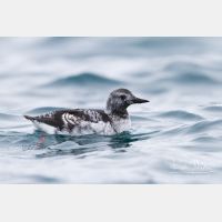 4635 x 3090_Px _RM_140322_MG_9216.jpg