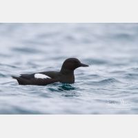 4756 x 3171_Px _RM_140322_MG_8945.jpg