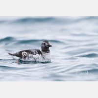 4837 x 3225_Px _RM_140322_MG_9218.jpg