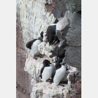 2082 x 3124_Px _RM_070702_MG_3702.jpg