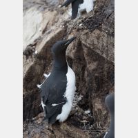 2888 x 4330_Px _RM_140326TTLL6650.jpg