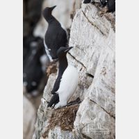 3165 x 4748_Px _RM_140326TTLL6747.jpg