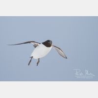 3502 x 2335_Px _RM_140325_MG_1652.jpg