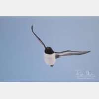 3811 x 2541_Px _RM_140325_MG_1978.jpg