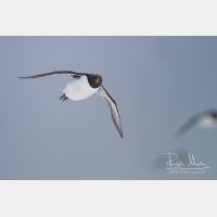 3902 x 2601_Px _RM_140325_MG_1624.jpg