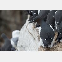 4410 x 2940_Px _RM_140326TTLL6671.jpg