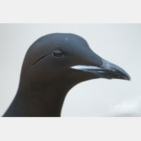 4663 x 3109_Px _RM_140327_MG_7760.jpg