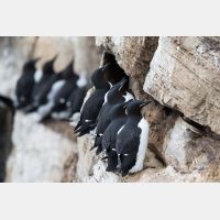 4740 x 3160_Px _RM_140326TTLL6791.jpg