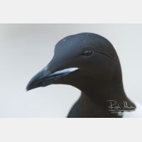 4740 x 3160_Px _RM_140327_MG_7752.jpg