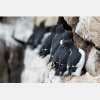 4773 x 3182_Px _RM_140326TTLL6780.jpg