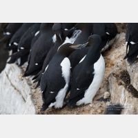 4797 x 3198_Px _RM_140326TTLL6684.jpg