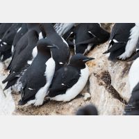 4861 x 3241_Px _RM_140326TTLL6688.jpg