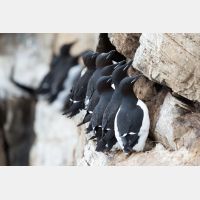 4890 x 3260_Px _RM_140326TTLL6777.jpg