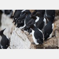 4974 x 3316_Px _RM_140326TTLL6712.jpg