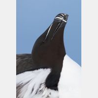 2104 x 3156_Px _RM_140325_MG_0586.jpg