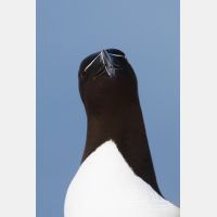 2104 x 3156_Px _RM_140325_MG_0593.jpg