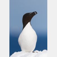 2850 x 4276_Px _RM_140325_MG_0496.jpg