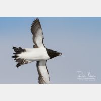 3416 x 2277_Px _RM_140325_MG_0831.jpg