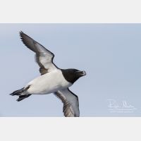 3471 x 2314_Px _RM_140325_MG_0715.jpg