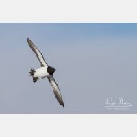 3789 x 2526_Px _RM_140325_MG_0828.jpg