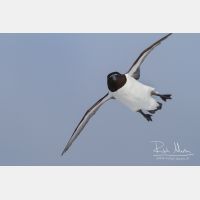 3829 x 2553_Px _RM_140325_MG_0880.jpg