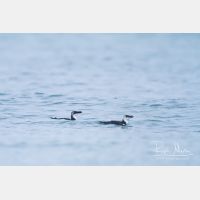 3862 x 2575_Px _RM_121023_MG_0125.jpg