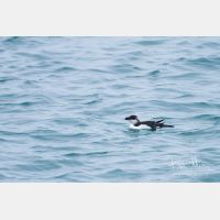 3923 x 2616_Px _RM_121023_MG_0095.jpg