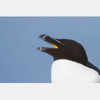 4142 x 2761_Px _RM_140325_MG_0589.jpg