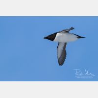 4216 x 2811_Px _RM_140325_MG_0775.jpg