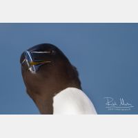 4276 x 2850_Px _RM_140325_MG_0638.jpg