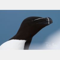 4305 x 2870_Px _RM_140325_MG_0474.jpg