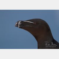 4318 x 2879_Px _RM_140325_MG_0482.jpg