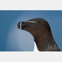 4346 x 2897_Px _RM_140325_MG_0490.jpg