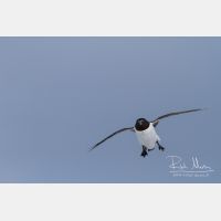 4371 x 2914_Px _RM_140325_MG_0878.jpg