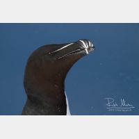 4378 x 2919_Px _RM_140325_MG_0609.jpg