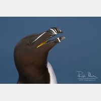 4429 x 2953_Px _RM_140325_MG_0621.jpg