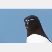 4445 x 2963_Px _RM_140325_MG_0461.jpg